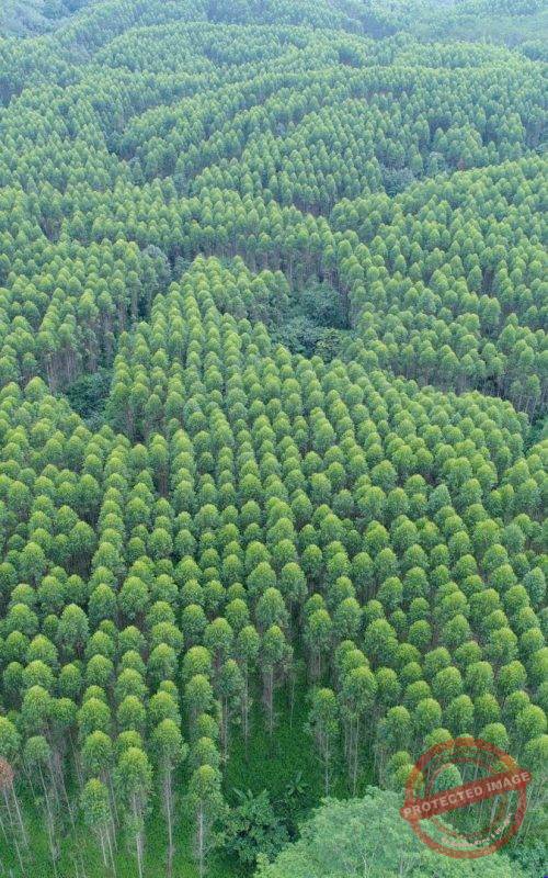 imgi_28_DJI_0366-scaled